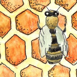 Save the Bees - Bee 3