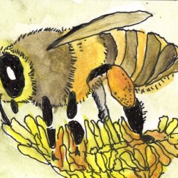 Save the Bees - Bee 4