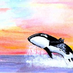 Whale of a Sunset 2026-04-27 001.jpg