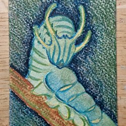 Dragon Headed Caterpillar [Traded]
