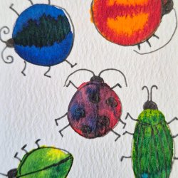 Bugs
