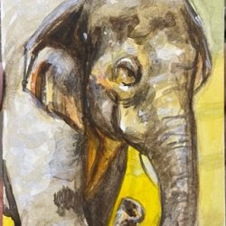 E is for Elephant.jpeg