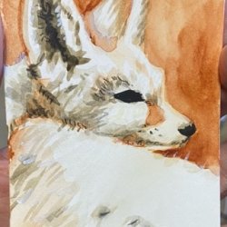 F is for Fennec Fox.jpeg