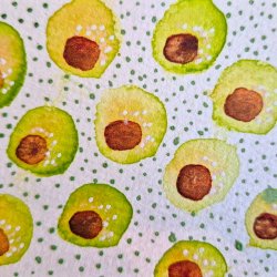 Olives