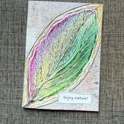 IMG_3126.jpeg