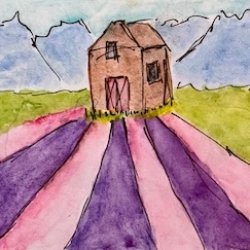 Lavender Farm