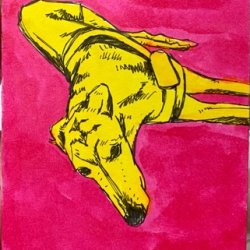 Banana Dog.jpeg