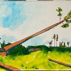 The last tree for miles.jpeg