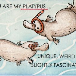 Animal parade - D, E, F 1/4