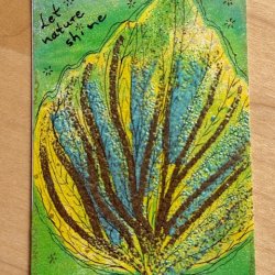 Nature 11