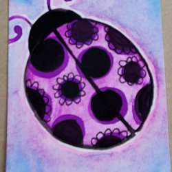 dreamy ladybug.jpg