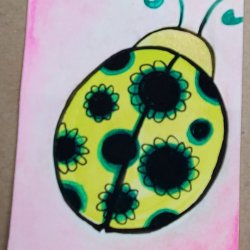 spring is here ladybug.jpg