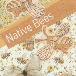 Bees1.jpg