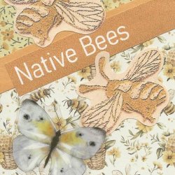 Bees3.jpg