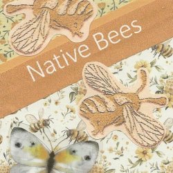 Bees4.jpg
