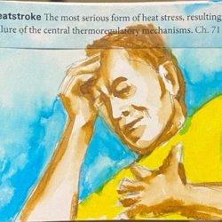 H is for heatstroke.jpeg