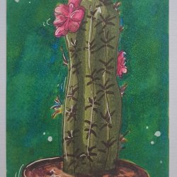 "Bloom"