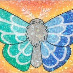 Gay Men Pride Moth