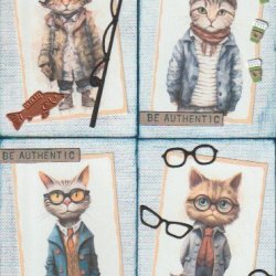 Quirky cats swap