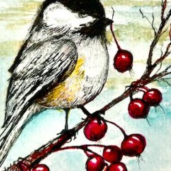 Chickadee pen and ink