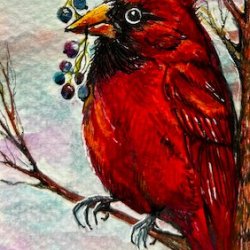 Cardinal ATC