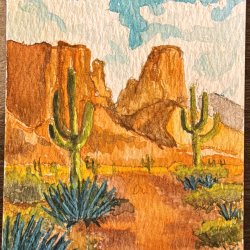 Arizona