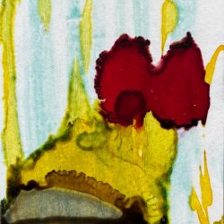 Sumac