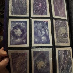 IMG_3627.jpeg