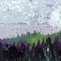 Forest.