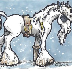 Media 'UniPirate.jpg' in album 'Unicorn Pirate'