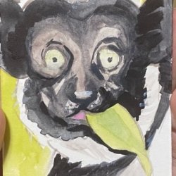 I is for Indri.jpeg