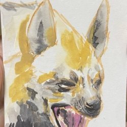 H is for Hyena.jpeg