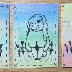 2023-0316-spring-animal-atc_52765133421_l.jpg