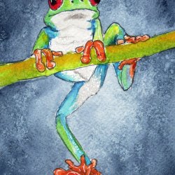 Media 'img20260710_15421729.jpg' in album 'frogs'