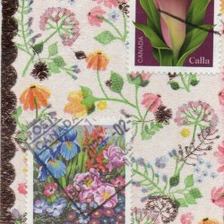 NOT HD/HP - Flowers 1/7
