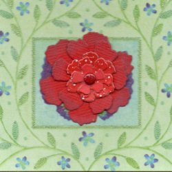 NOT HD/HP - Flowers 7/7
