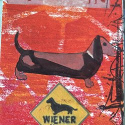 CRRR wiener dog