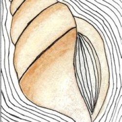 Zenned Shell