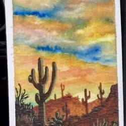 Arizona Yellow Sunset with Saguaros