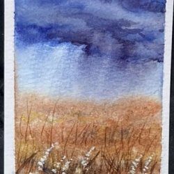 Prescott Valley Monsoon Storm