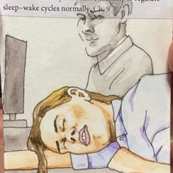 Narcolepsy.jpeg
