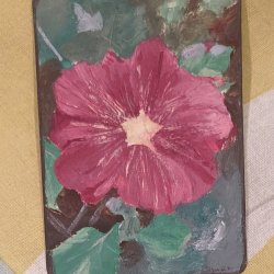 Wine coloured flower