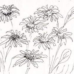 Creative Retreat - Daisies 2