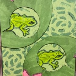 Between the Lily pads.jpeg