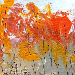 Fall Forest - Colors of Autumn 1