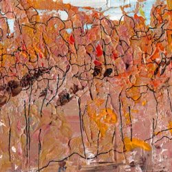 Fall Forest - Colors of Autumn 5