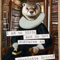 Traded_"I am no bird; and not net ensnares me."