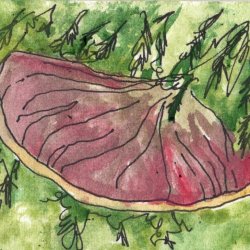 FAthon 5 Beefsteak Fungus