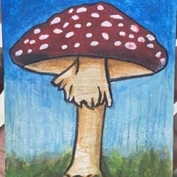 Freckled Fungi II.jpeg