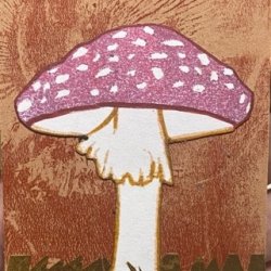Freckled Fungi I.jpeg